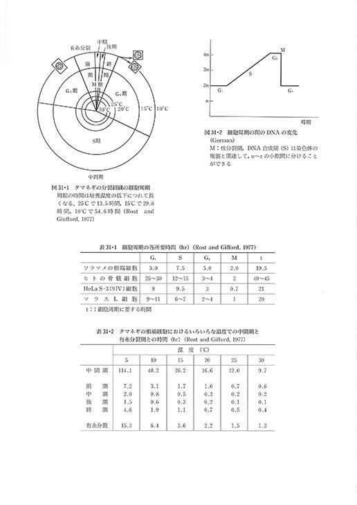 w} ̐EiOŁjx e{